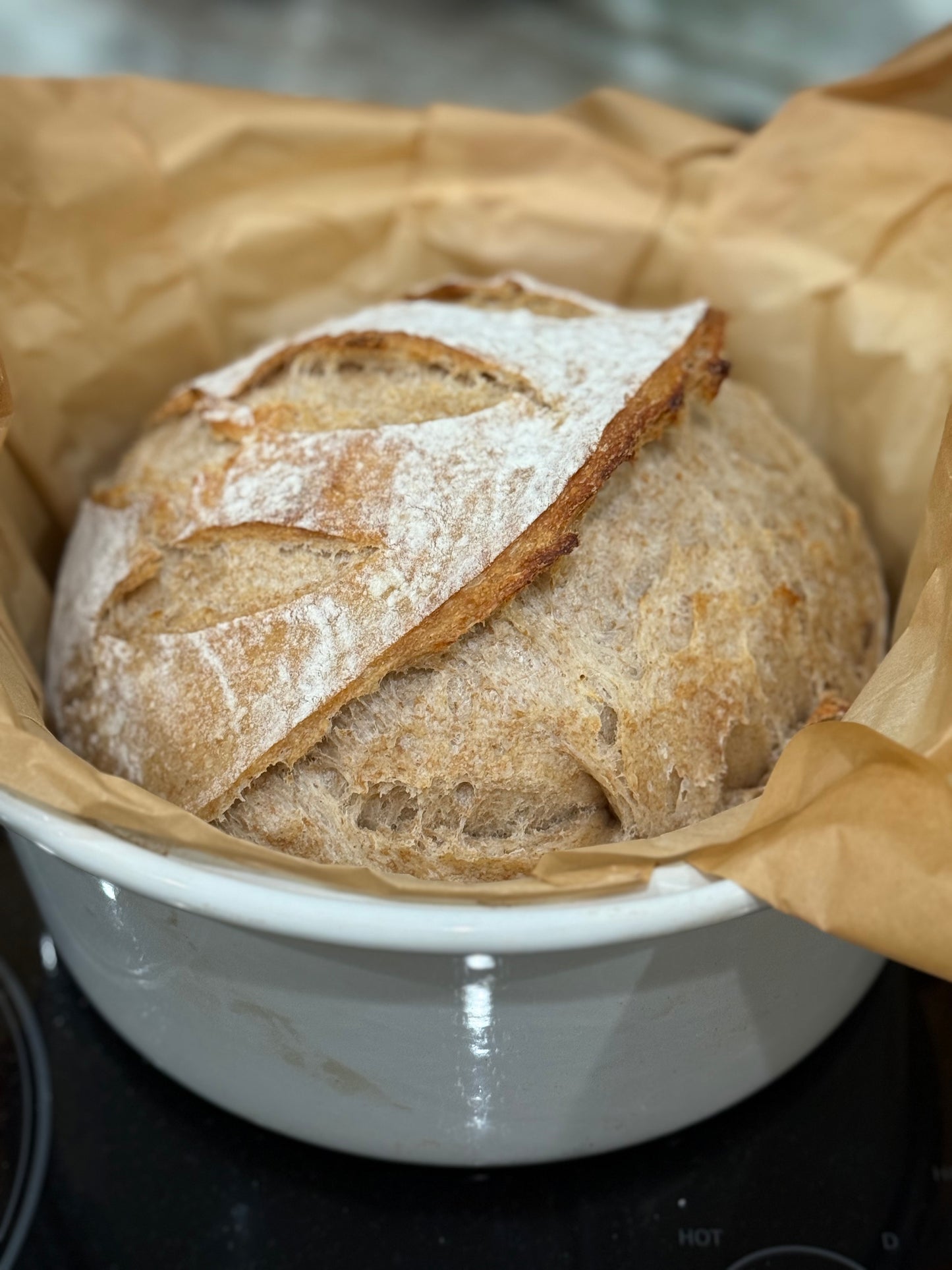 "Virgie" Dehydrated Sourdough Starter