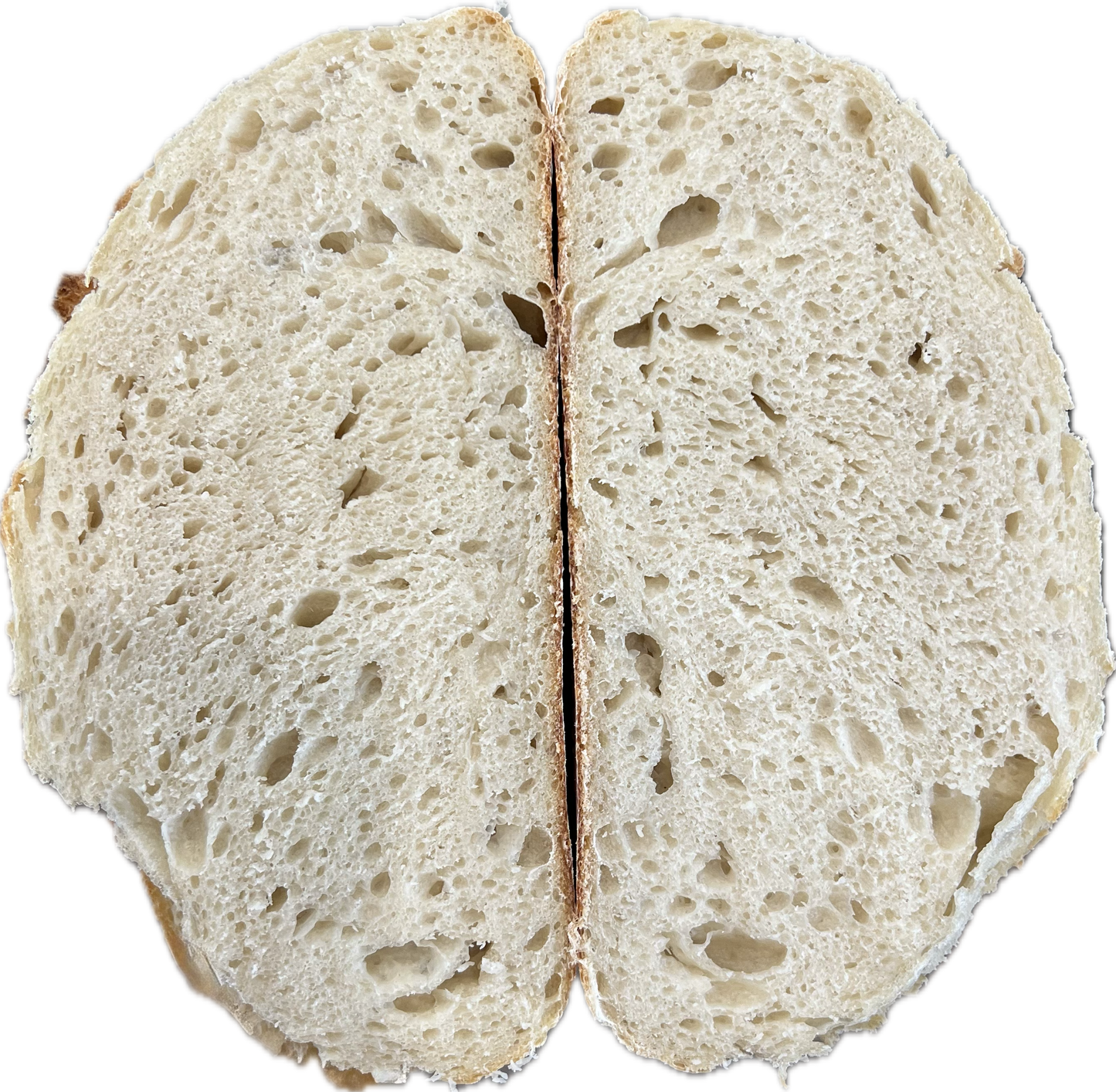 "Virgie" Dehydrated Sourdough Starter
