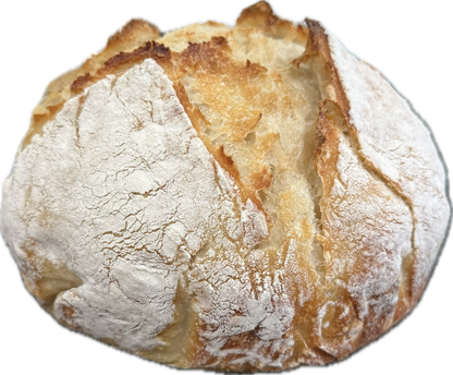 "Virgie" Dehydrated Sourdough Starter
