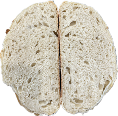 "Virgie" Dehydrated Sourdough Starter
